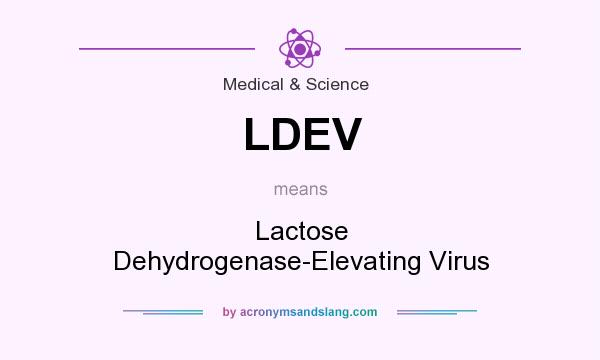 What does LDEV mean? It stands for Lactose Dehydrogenase-Elevating Virus