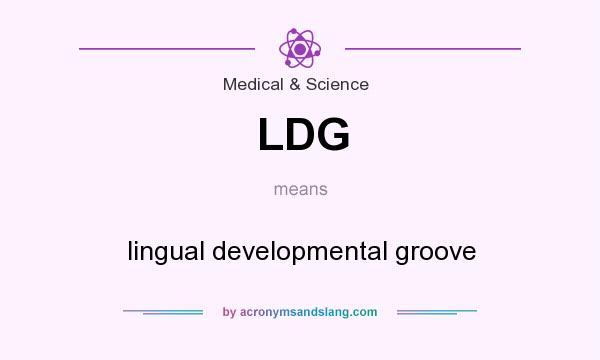 What does LDG mean? It stands for lingual developmental groove