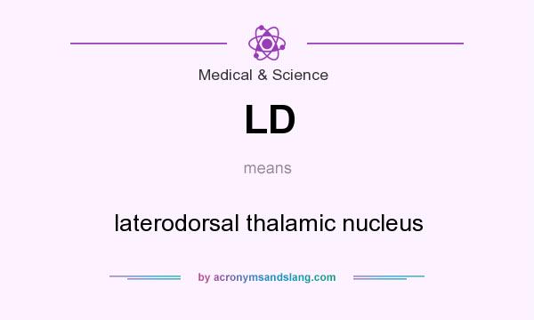 What does LD mean? It stands for laterodorsal thalamic nucleus