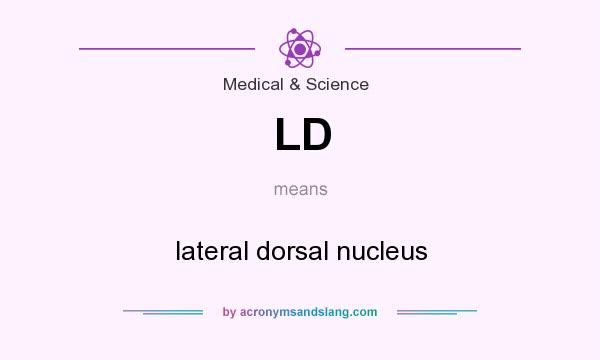 What does LD mean? It stands for lateral dorsal nucleus