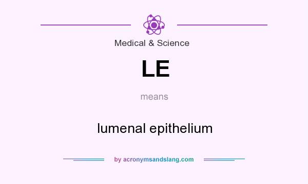 What does LE mean? It stands for lumenal epithelium