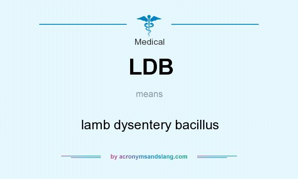 What does LDB mean? It stands for lamb dysentery bacillus