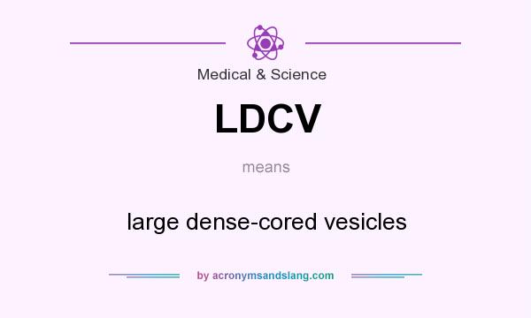 What does LDCV mean? It stands for large dense-cored vesicles