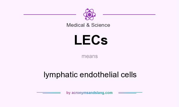 What does LECs mean? It stands for lymphatic endothelial cells
