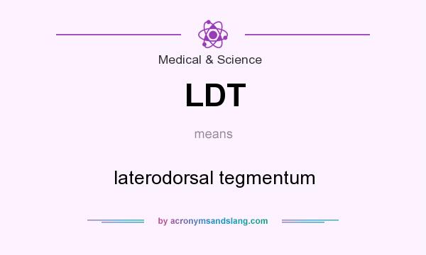 What does LDT mean? It stands for laterodorsal tegmentum