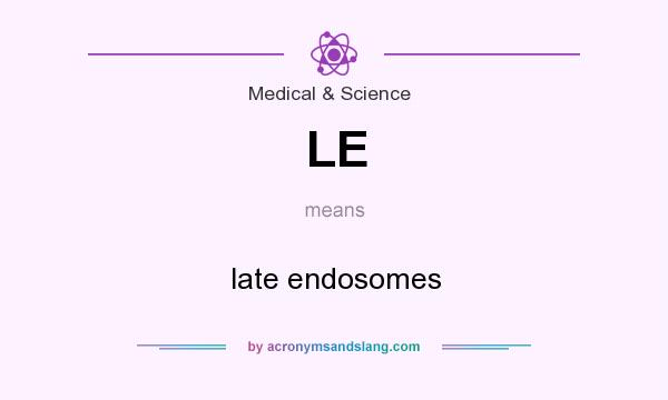 What does LE mean? It stands for late endosomes