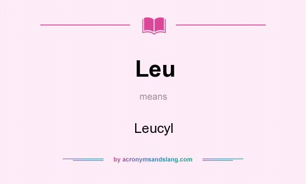 What does Leu mean? It stands for Leucyl
