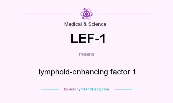 What does LEF-1 mean? It stands for lymphoid-enhancing factor 1