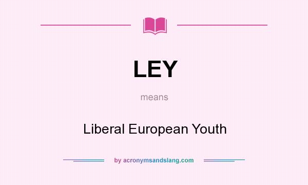 What does LEY mean? It stands for Liberal European Youth