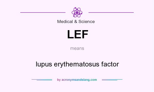 What does LEF mean? It stands for lupus erythematosus factor