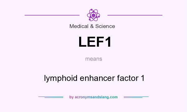 What does LEF1 mean? It stands for lymphoid enhancer factor 1