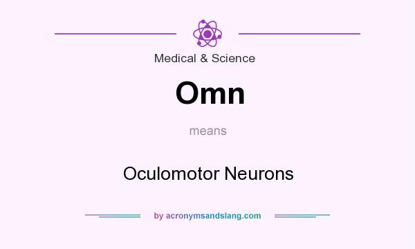 What does Omn mean? It stands for Oculomotor Neurons