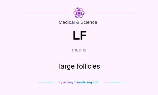What does LF mean? It stands for large follicles