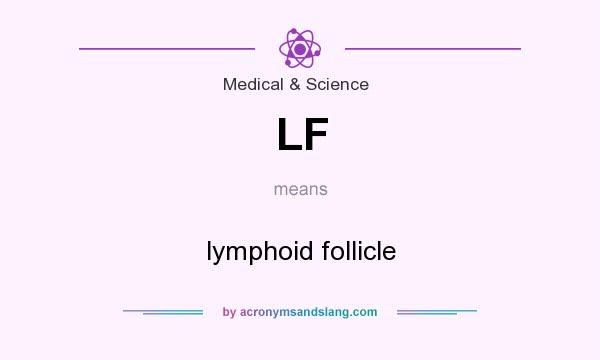 What does LF mean? It stands for lymphoid follicle