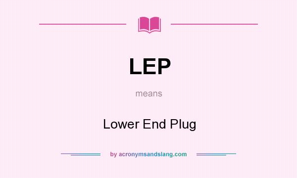 What does LEP mean? It stands for Lower End Plug