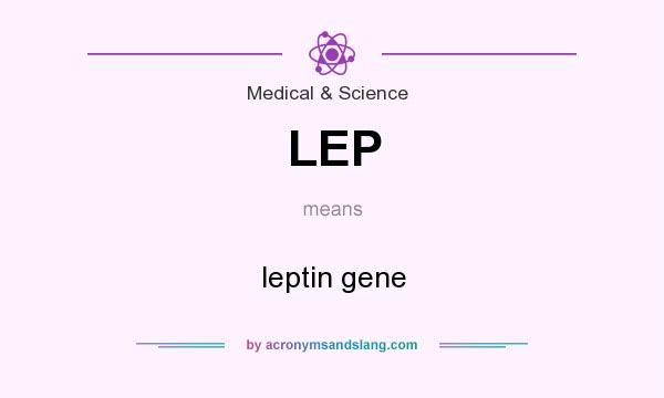 What does LEP mean? It stands for leptin gene