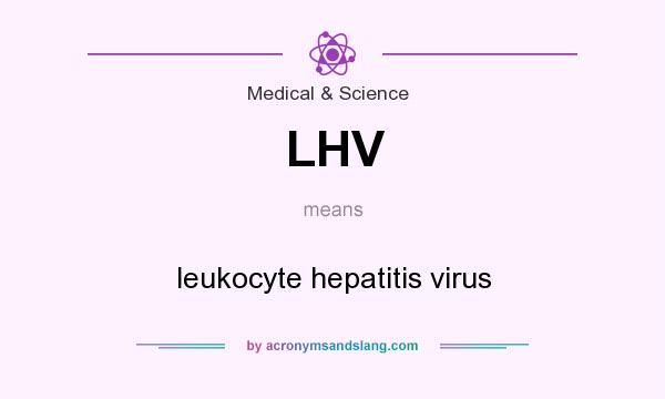 What does LHV mean? It stands for leukocyte hepatitis virus