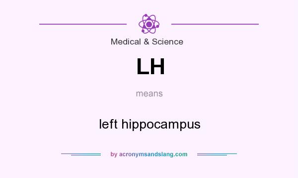 What does LH mean? It stands for left hippocampus