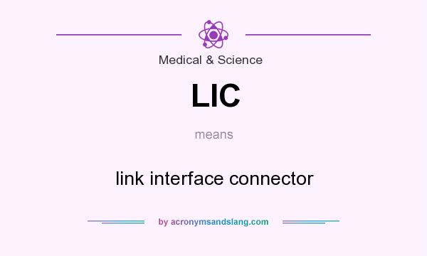 What does LIC mean? It stands for link interface connector