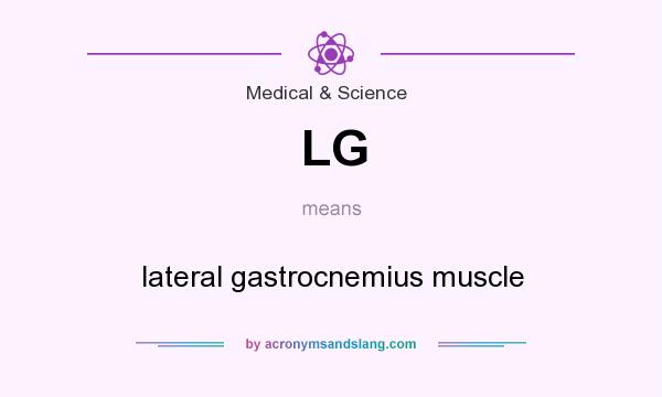 What does LG mean? It stands for lateral gastrocnemius muscle