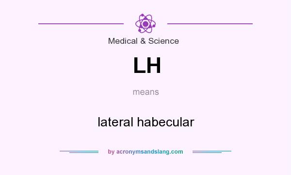 What does LH mean? It stands for lateral habecular