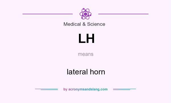 What does LH mean? It stands for lateral horn