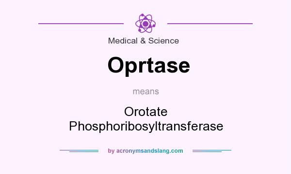 What does Oprtase mean? It stands for Orotate Phosphoribosyltransferase