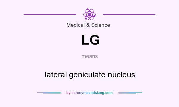 What does LG mean? It stands for lateral geniculate nucleus