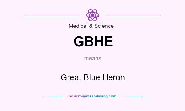 What does GBHE mean? It stands for Great Blue Heron