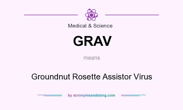 What does GRAV mean? It stands for Groundnut Rosette Assistor Virus