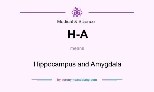 What does H-A mean? It stands for Hippocampus and Amygdala