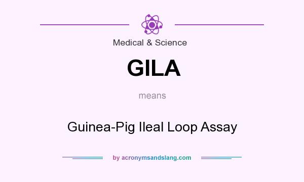 What does GILA mean? It stands for Guinea-Pig Ileal Loop Assay