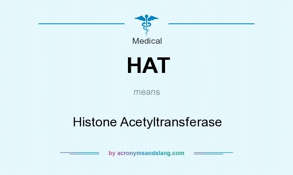 What does HAT mean? It stands for Histone Acetyltransferase