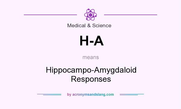 What does H-A mean? It stands for Hippocampo-Amygdaloid Responses