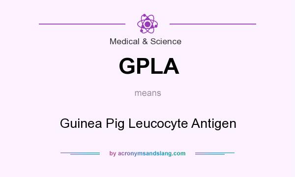 What does GPLA mean? It stands for Guinea Pig Leucocyte Antigen