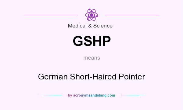 What does GSHP mean? It stands for German Short-Haired Pointer