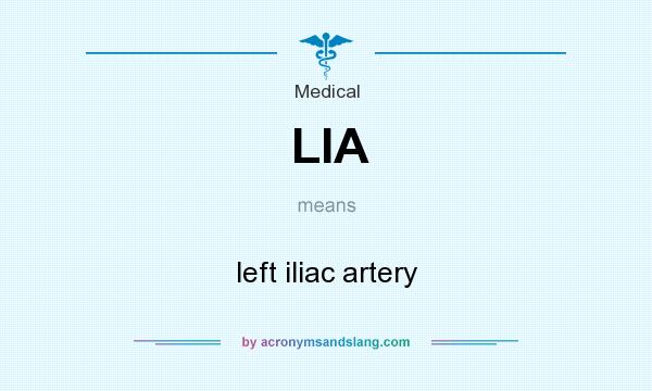 What does LIA mean? It stands for left iliac artery