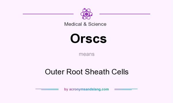 What does Orscs mean? It stands for Outer Root Sheath Cells