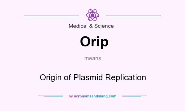 What does Orip mean? It stands for Origin of Plasmid Replication