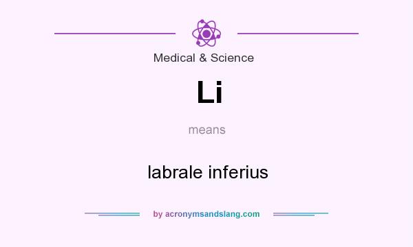 What does Li mean? It stands for labrale inferius
