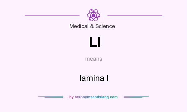 What does LI mean? It stands for lamina I
