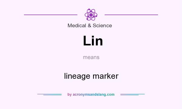 What does Lin mean? It stands for lineage marker