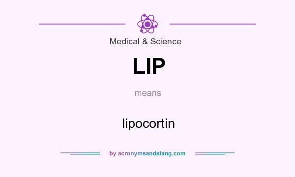 What does LIP mean? It stands for lipocortin