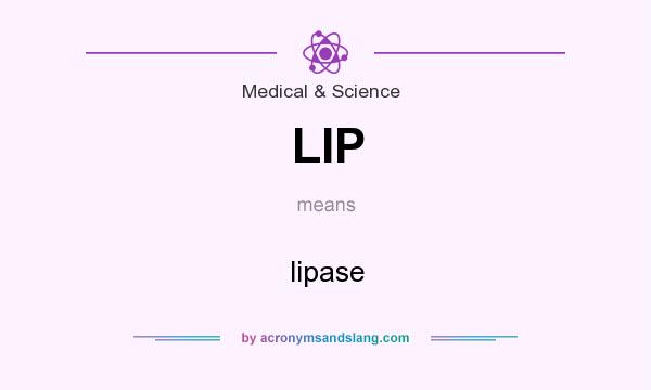 What does LIP mean? It stands for lipase
