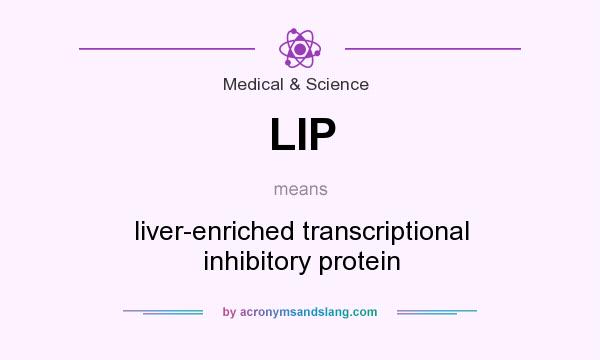 What does LIP mean? It stands for liver-enriched transcriptional inhibitory protein