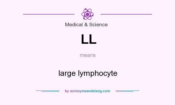 What does LL mean? It stands for large lymphocyte