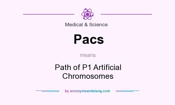What does Pacs mean? It stands for Path of P1 Artificial Chromosomes