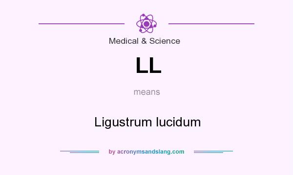 What does LL mean? It stands for Ligustrum lucidum