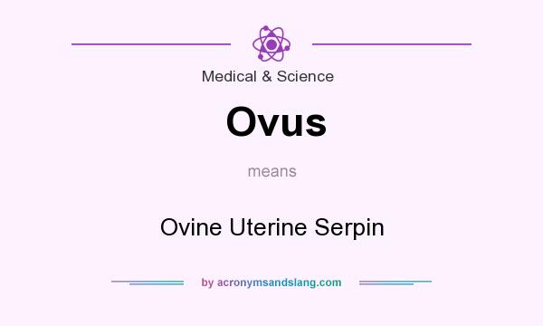 What does Ovus mean? It stands for Ovine Uterine Serpin