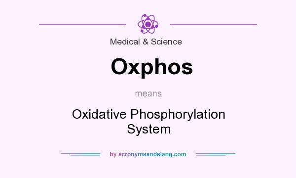 What does Oxphos mean? It stands for Oxidative Phosphorylation System